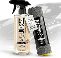 Todo lo que necesitas saber para elegir ceras y abrillantadores para moto